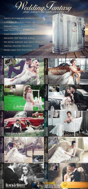 CM – Actions for Photoshop / Wedding 1504866