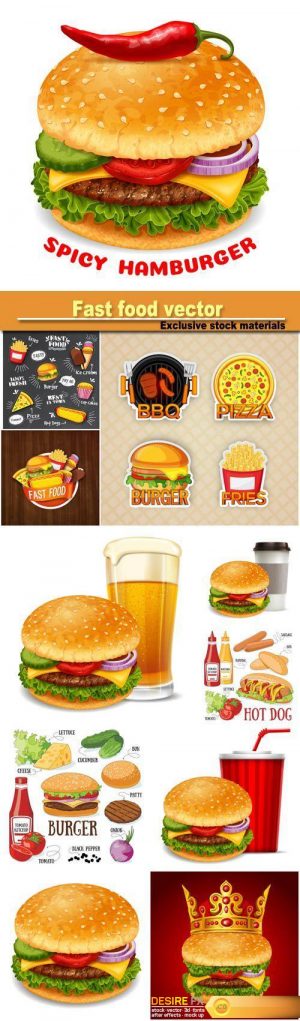 Burger and its ingredients, fast food vector illustration