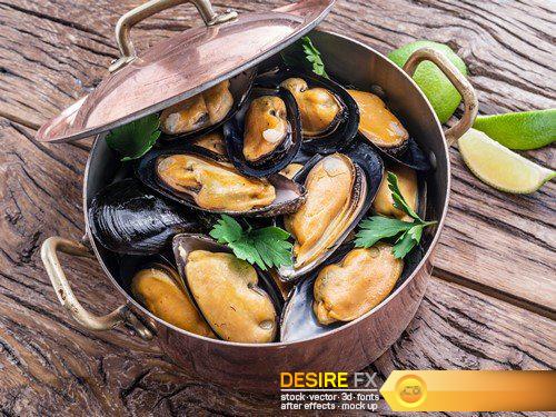 Mussels on the background of graphite 7X JPEG