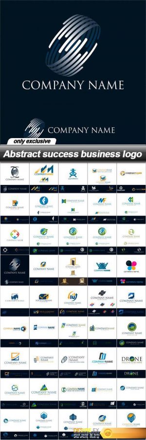 Abstract success business logo – 45 EPS