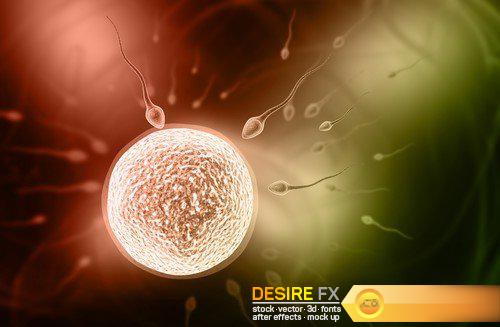3d abstraction ovum, sperm 12X JPEG
