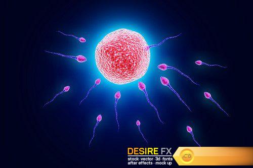 3d abstraction ovum, sperm 12X JPEG