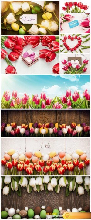 Spring tulips with gift 10X JPEG