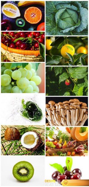 Vegetables, fruits, berry and mushrooms 12X JPEG