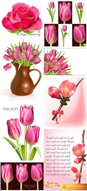 Spring pink tulips 8X EPS