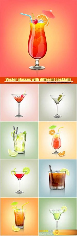 Vector glasses with different cocktails