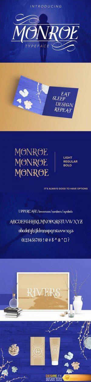 CM – Monroe Font Family NEW 1323520