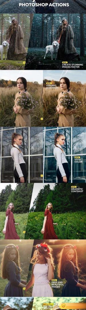 Professional Photoshop Actions – 604269