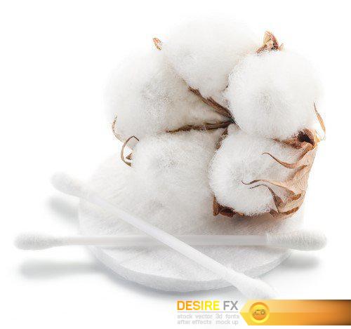 Cotton 6X JPEG