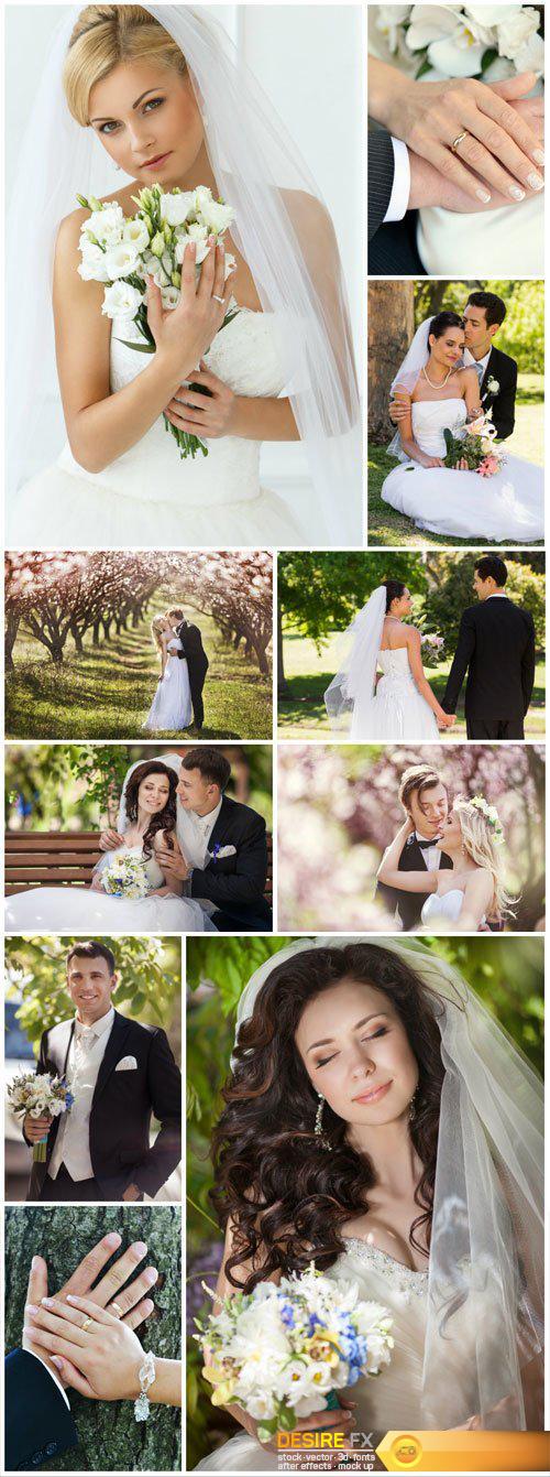 Elegant bride and groom, wedding, family