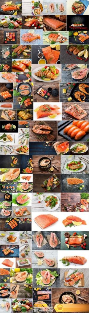 Raw salmon filet, stake and sushi – 83xUHQ JPEG