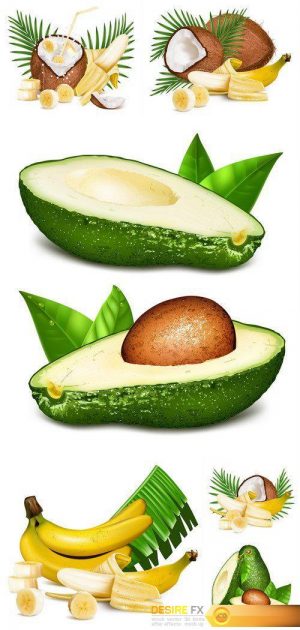 Coconuts and ripe yellow bananas Avocados with leaves 6X EPS