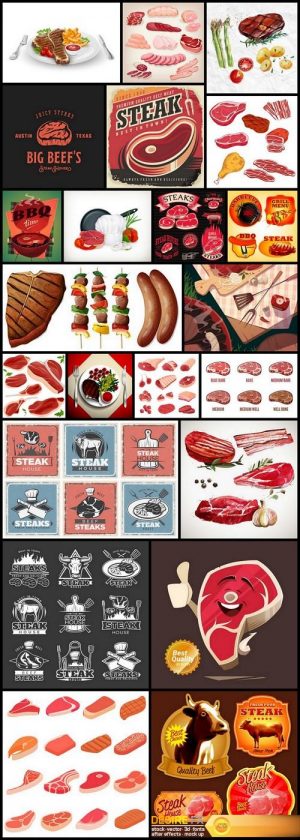 Steak Meat Collection – 22 Vector