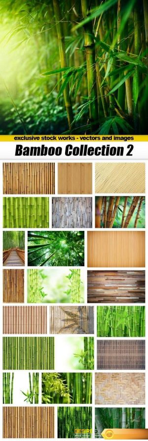 Bamboo Collection 2 – 25xUHQ JPEG