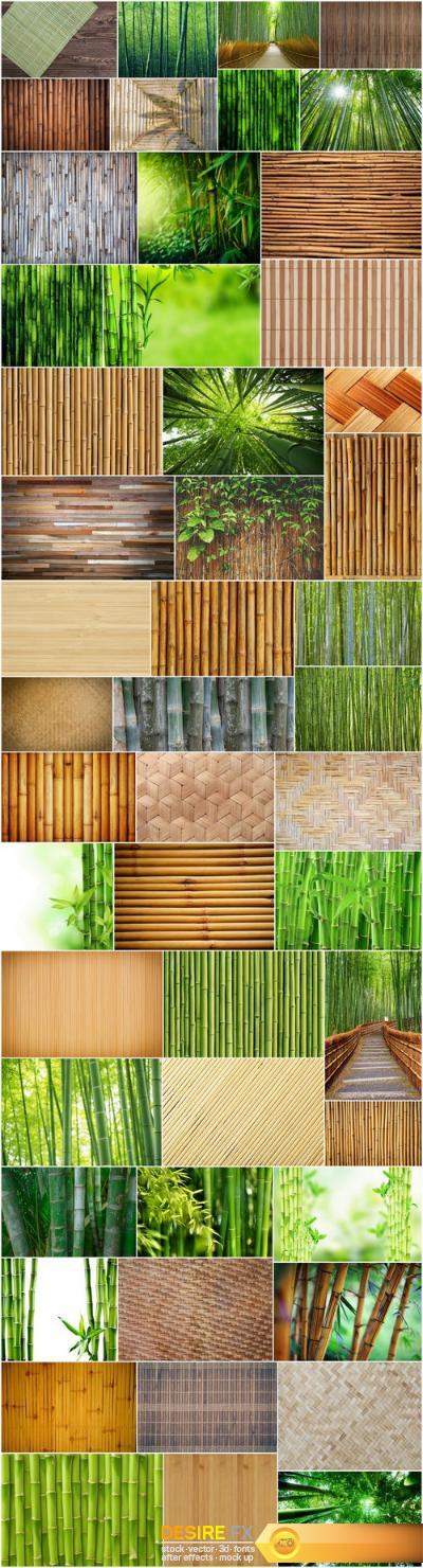 Bamboo Collection – 50xUHQ JPEG