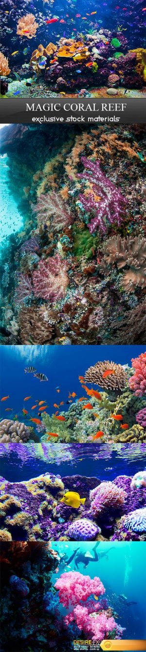 Magic coral reef – 5UHQ JPEG