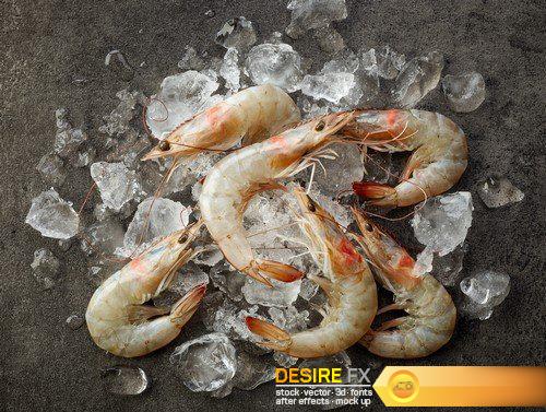 Shrimp with lemon slice 14X JPEG