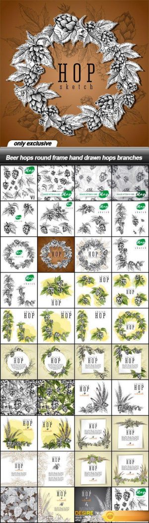 Beer hops round frame hand drawn hops branches – 39 EPS