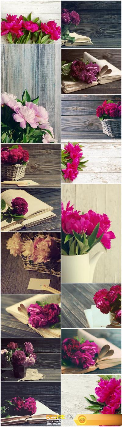 Beautiful peony flowers – Set of 16xUHQ JPEG Professional Stock Images