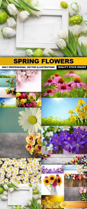 Spring Flowers – 20 HQ Images