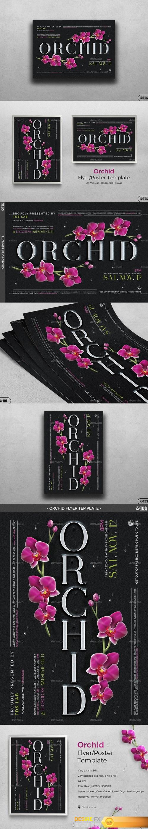 Orchid Flyer Template 19375664