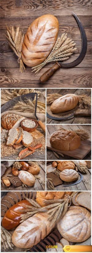 Fresh bread and spikelets on wooden background