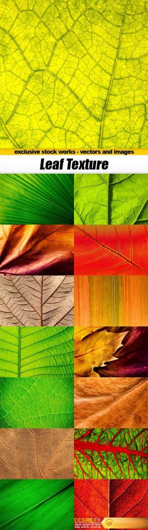 Leaf Texture – 15x JPEGs
