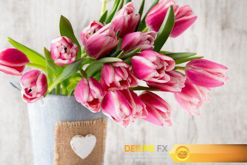 Bouquet of tulips on a gray background 13X JPEG
