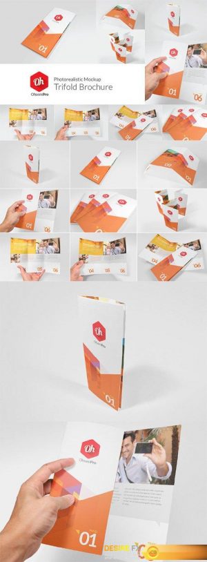 OhsemPro – Trifold – Creativemarket 80658