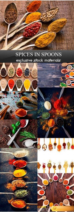Spices in spoons – 9UHQ JPEG
