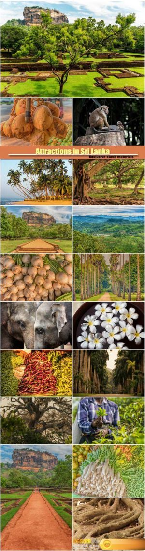 Attractions in Sri Lanka, people, animals and food
