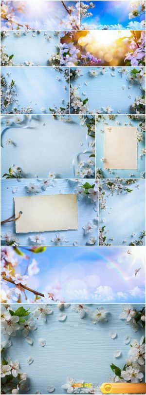 Spring flower background 12X JPEG