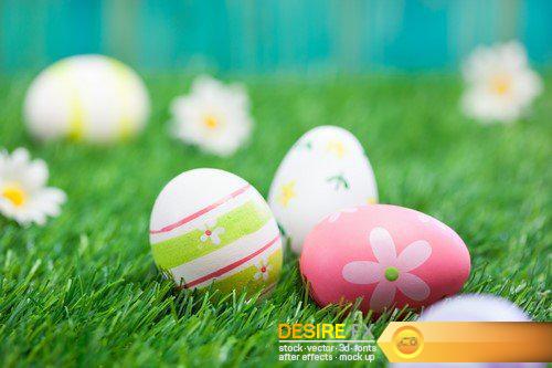 Colorful Easter eggs on grass with flowers background 22X JPEG