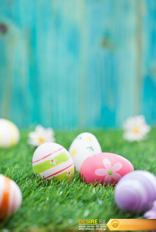 Colorful Easter eggs on grass with flowers background 22X JPEG