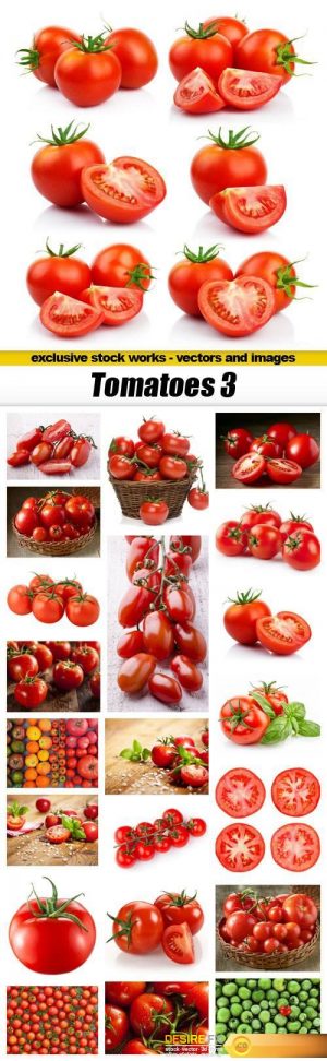 Tomatoes 3 – 22xUHQ JPEG