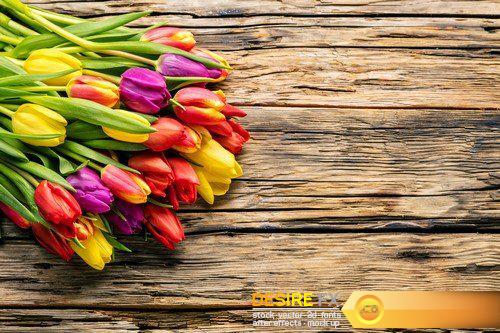 Easter eggs and tulips on wooden planks 26X JPEG