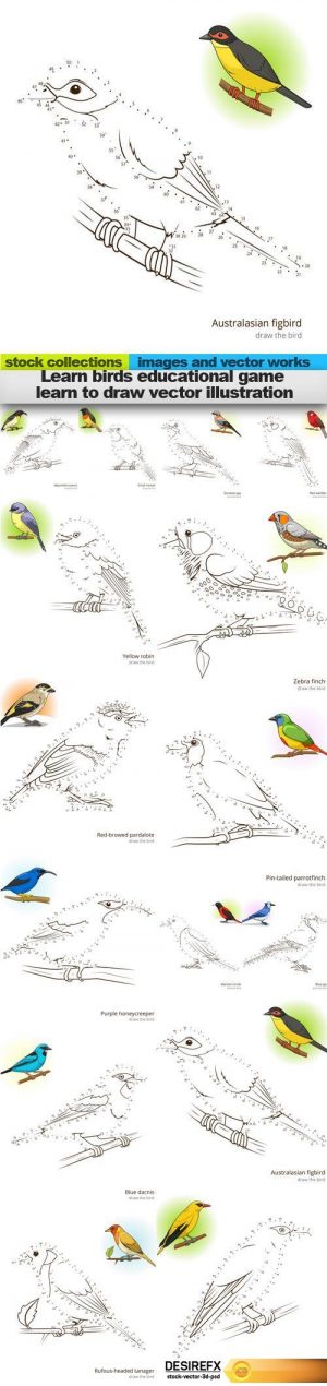 Learn birds educational game learn to draw vector illustration, 15 x EPS