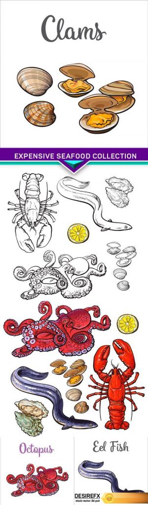 Expensive seafood collection vector illustration 5X EPS