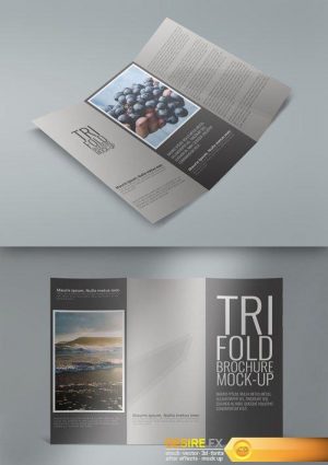 Tri-Fold Brochure Mock Ups – Creativemarket 236940
