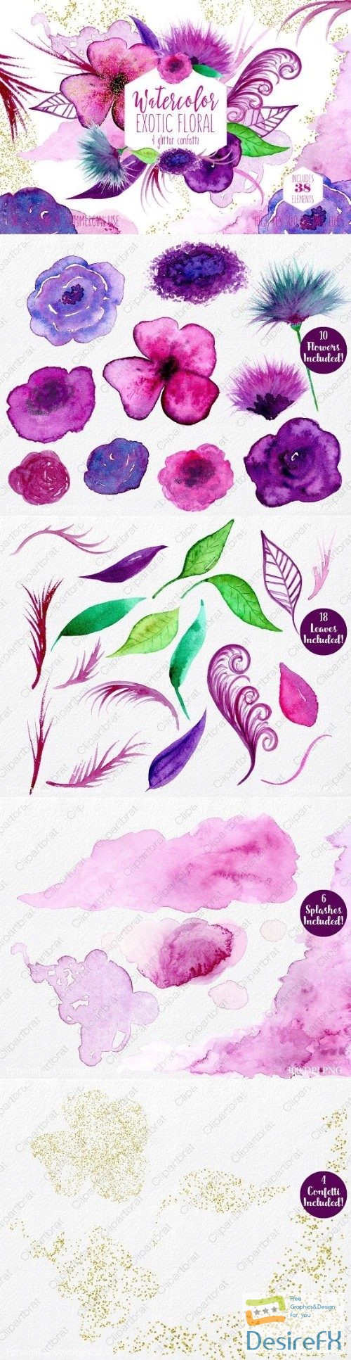 CreativeMarket - Exotic Florals & Feathers 2180680