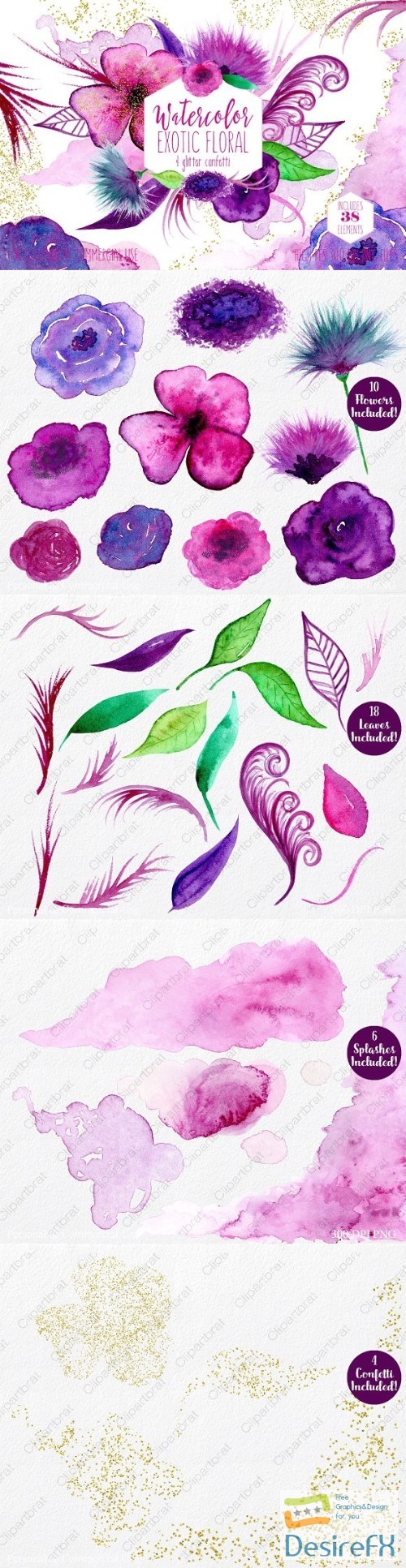 CreativeMarket - Exotic Florals &amp; Feathers 2180680