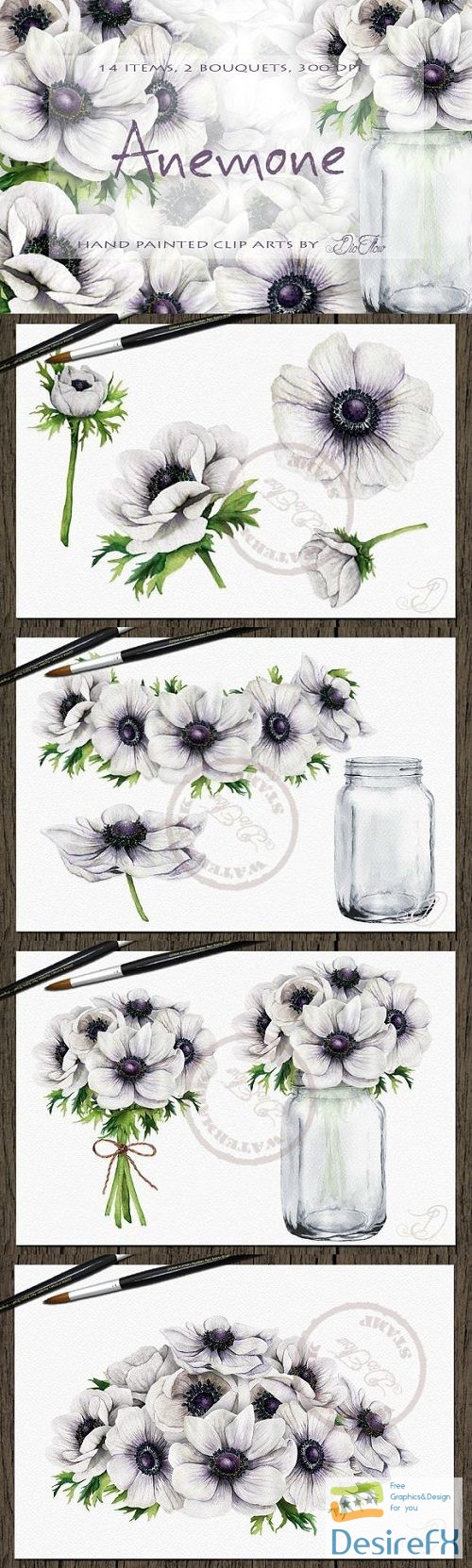 Anemone Watercolor Clip Art 2219823