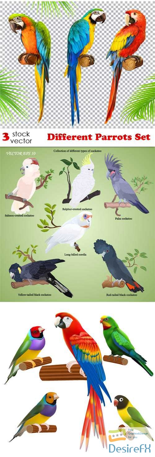 Different Parrots Set