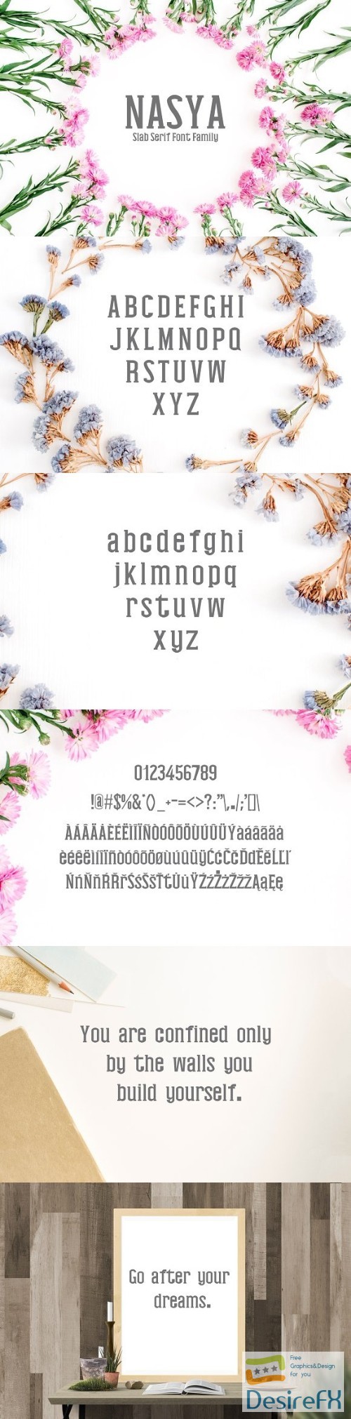 Nasya Slab Serif 4 Font Family Pack 2334077