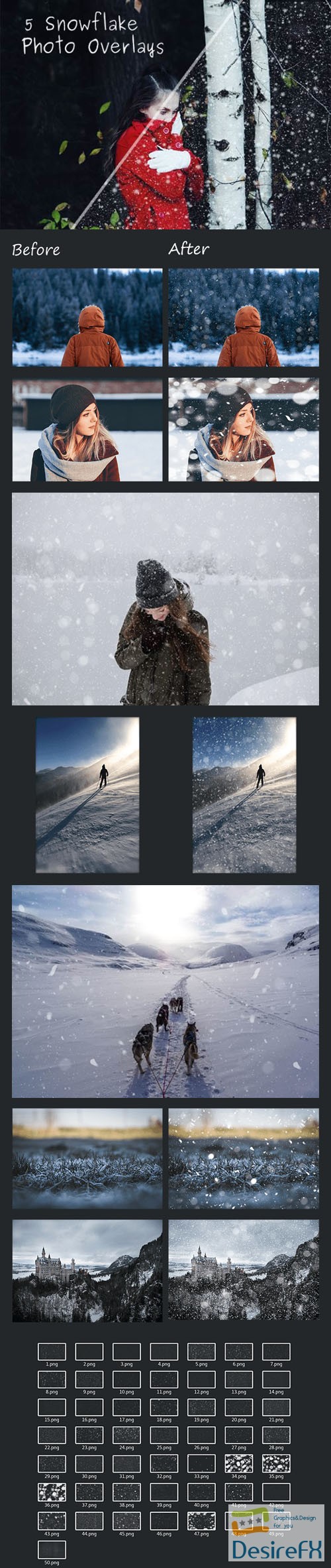5 Snowflake Photo Overlays