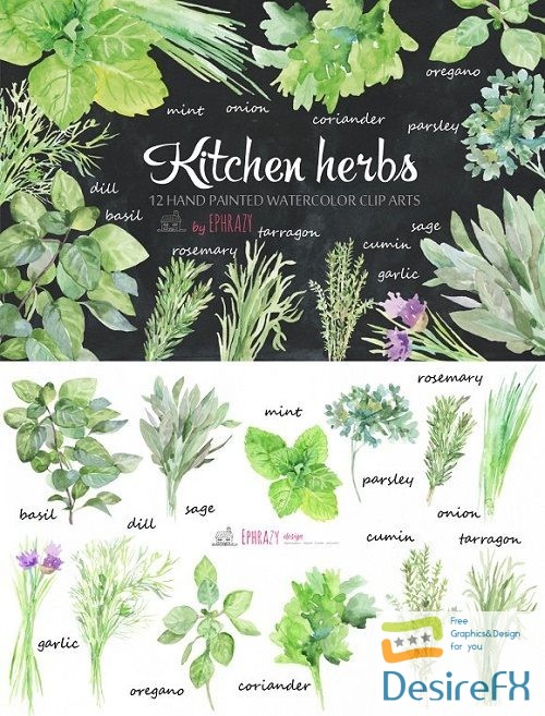 Kitchen herbs. Watercolor clipart 1576638