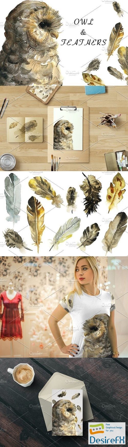 Owl and feathers watercolor set - 1581217