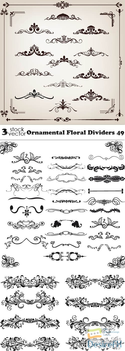 Vectors - Ornamental Floral Dividers 49