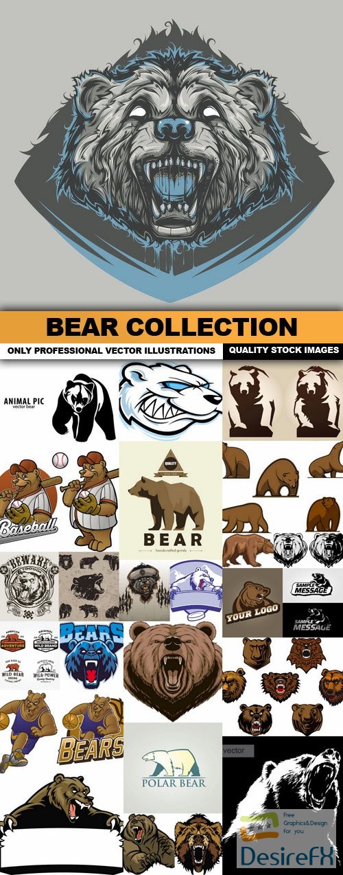 Bear Collection - 25 Vector