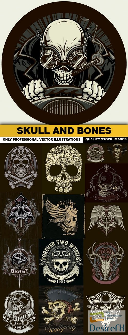 Skull And Bones - 15 Vector